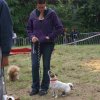 foire-haricots 2011-09-17et18